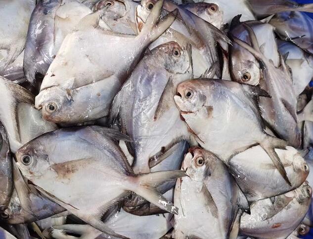 生鲜配送"QQ截图20200518113546.jpg"/