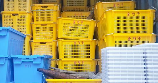 食材配送"QQ截图20200602114555.jpg"/