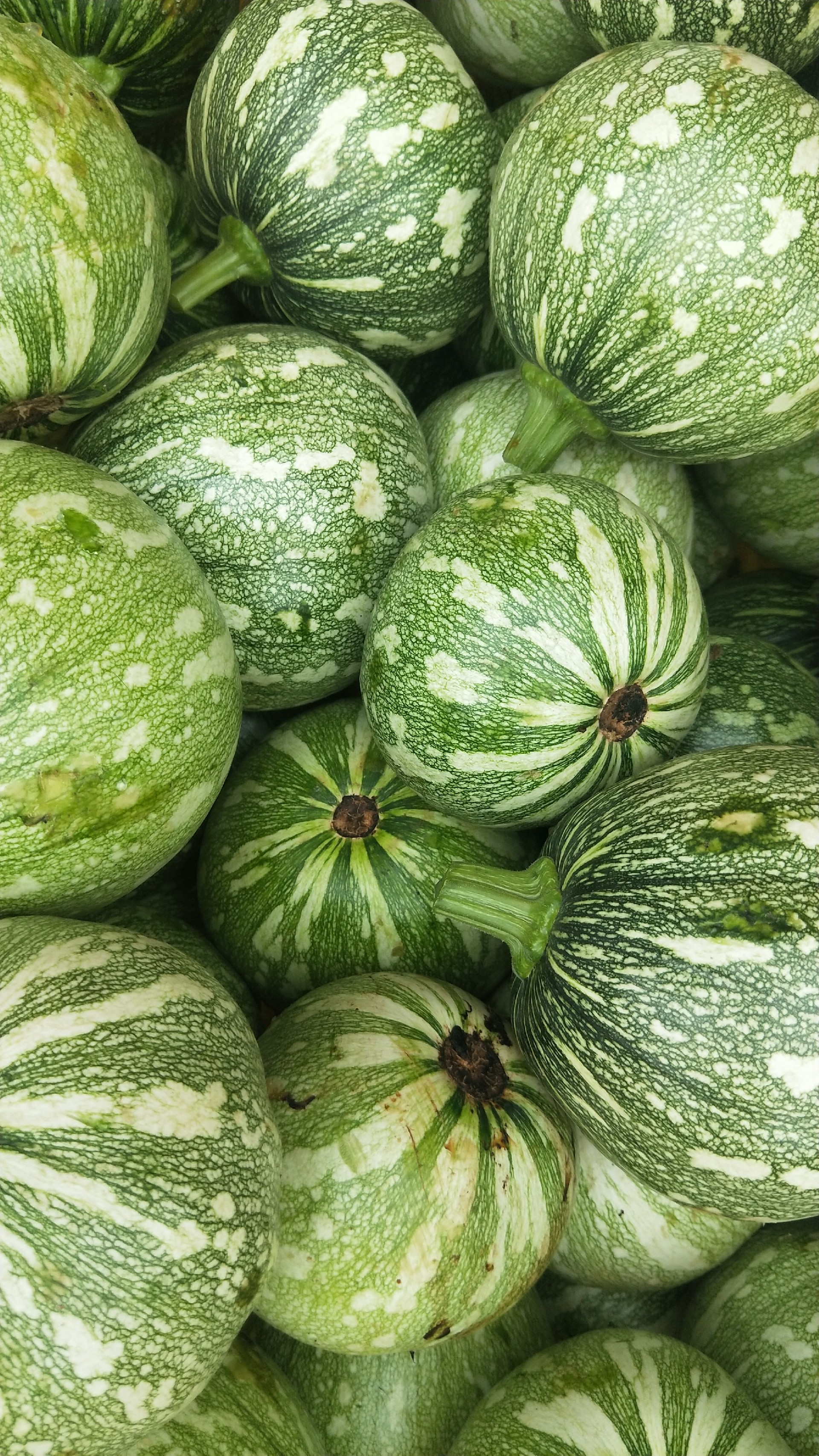 1594951431156305.jpg 微信图片_20191227110742.jpg