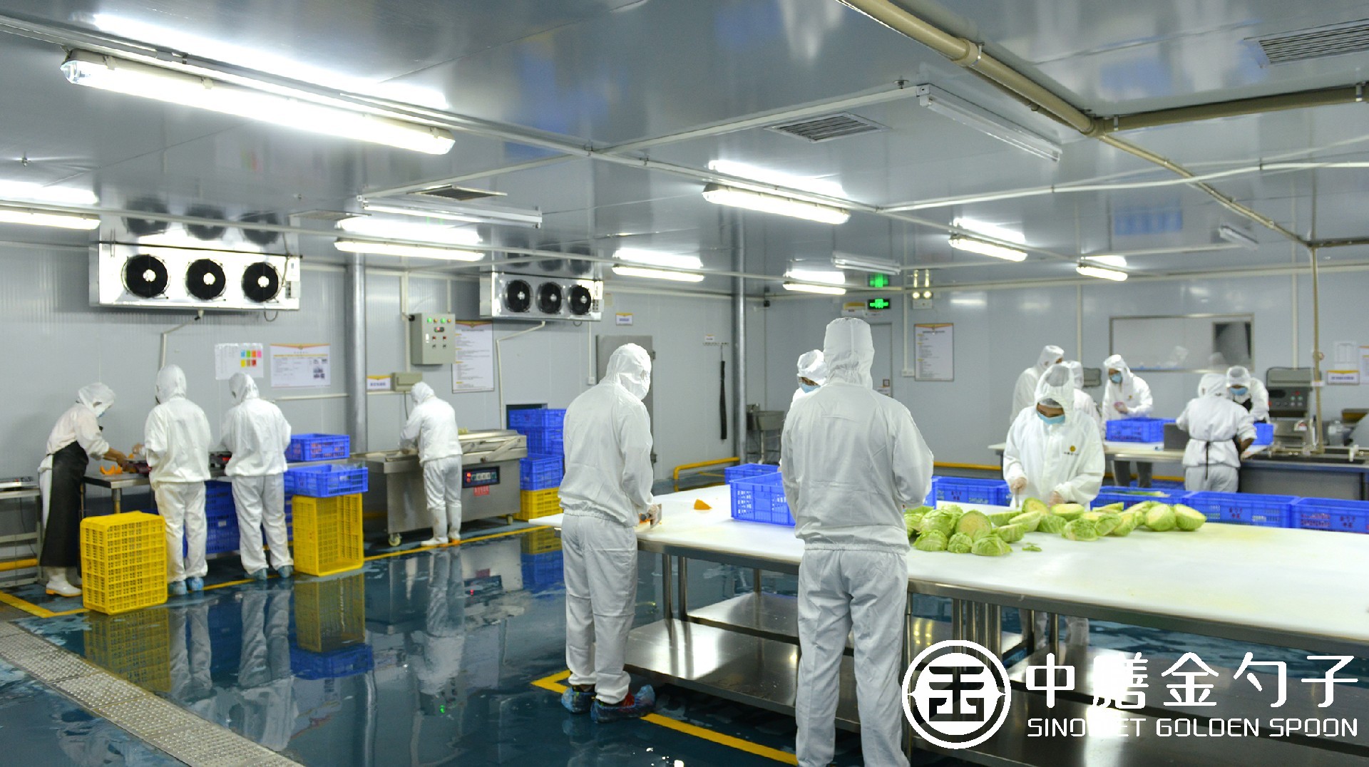 1612418092135536.jpg 1612418092135536.jpg