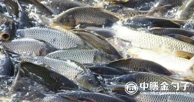 1662349151165904.png 图片1.png